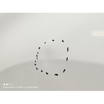 Recambio de aleta delantera izquierda para citroën c4 picasso live edition referencia OEM IAM 1612021980  