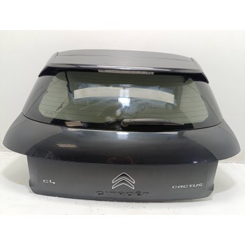 PORTON TRASERO 9800805380 