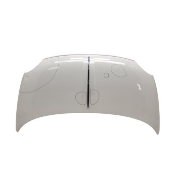 Recambio de capo para fiat nuova 500 (150) dolce vita referencia OEM IAM 52009424  