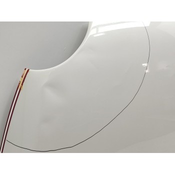 Recambio de capo para fiat nuova 500 (150) dolce vita referencia OEM IAM 52009424  