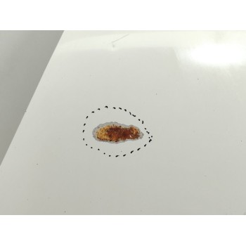 Recambio de capo para fiat doblo active referencia OEM IAM 51810378  